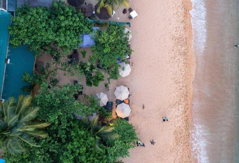 호텔 Ocean S Eye Apartments