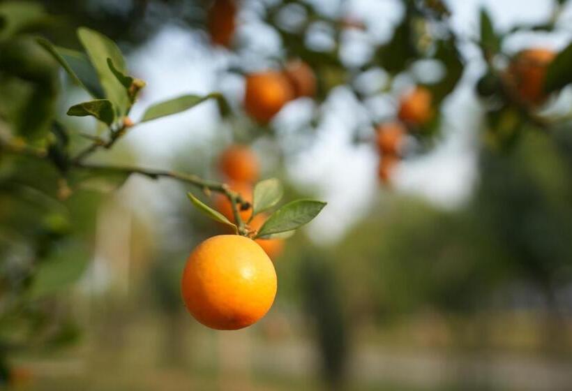 בית מלון כפרי Prince Farm