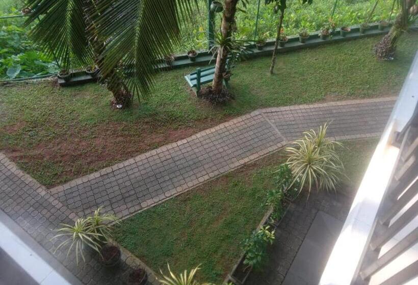 ホテル Viila Aurora