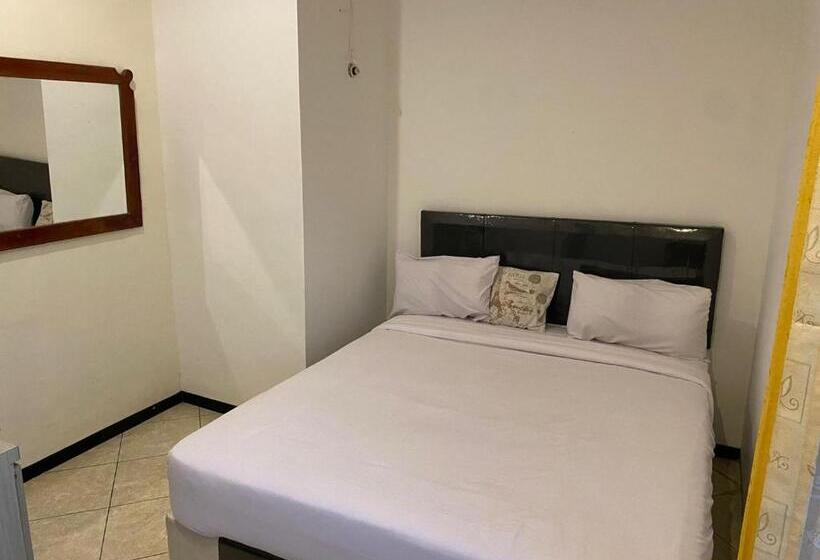 פנסיון Aeena Village