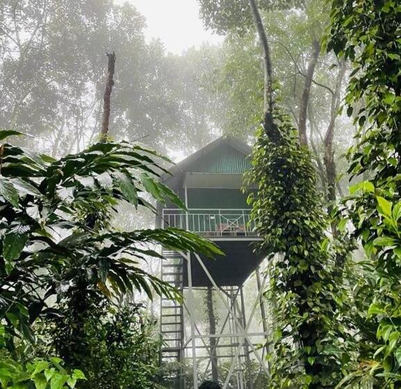 펜션 Breeze Hill Resort