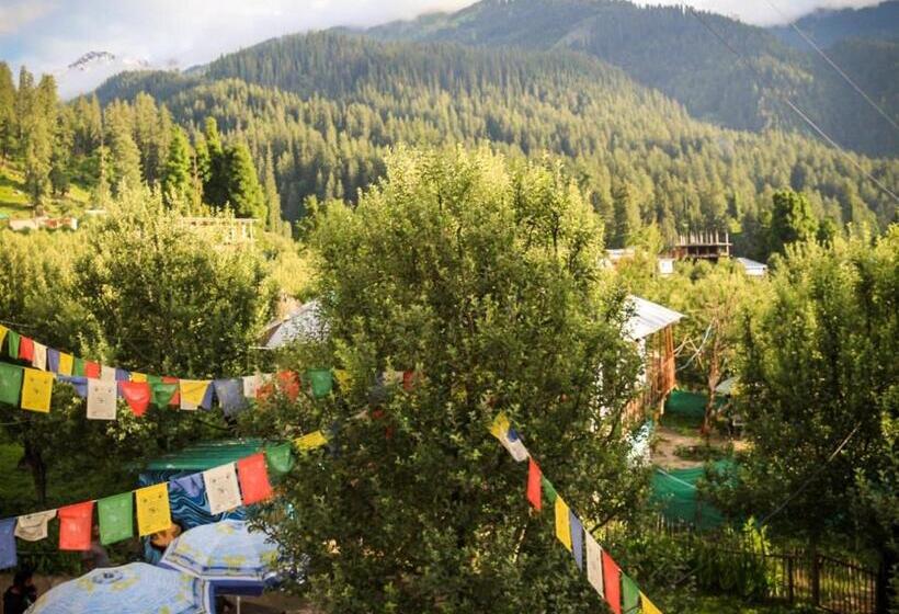 Пансион Freedom Cafe