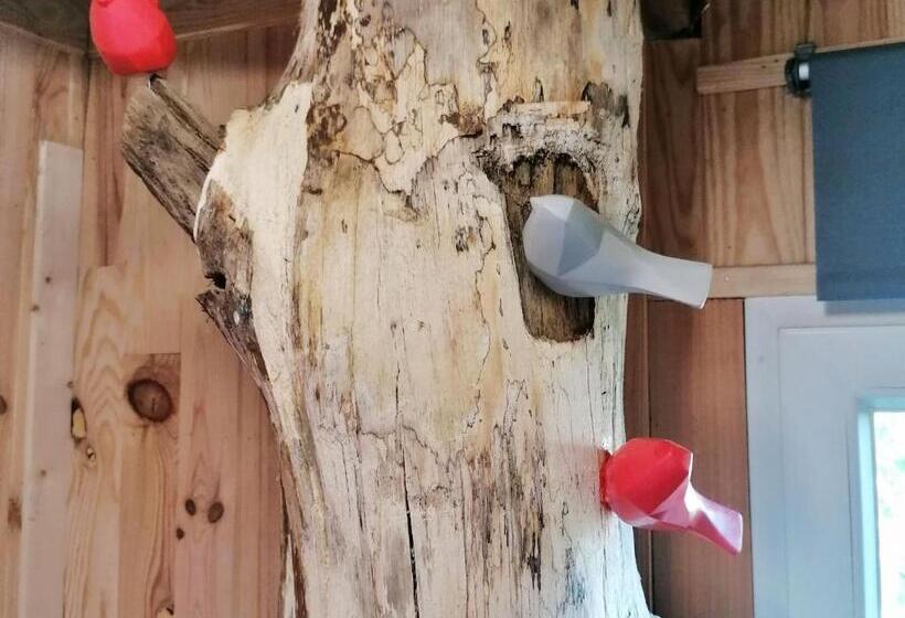 膳宿费 Cabane Perchée Avec Terrasses, Salle De Bain, Kitchenette, Petit Déjeuner Inclus Et Accès Piscine