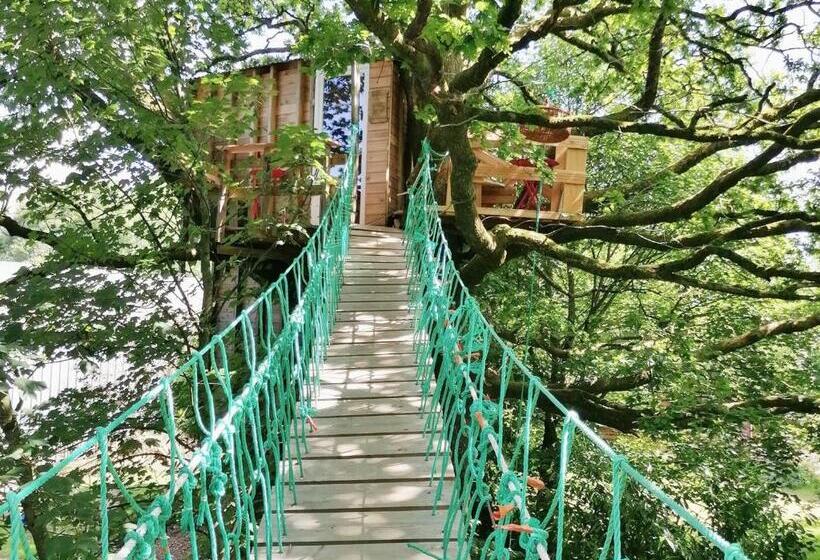 膳宿费 Cabane Perchée Avec Terrasses, Salle De Bain, Kitchenette, Petit Déjeuner Inclus Et Accès Piscine