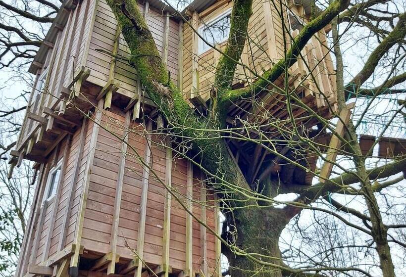 膳宿费 Cabane Perchée Avec Terrasses, Salle De Bain, Kitchenette, Petit Déjeuner Inclus Et Accès Piscine