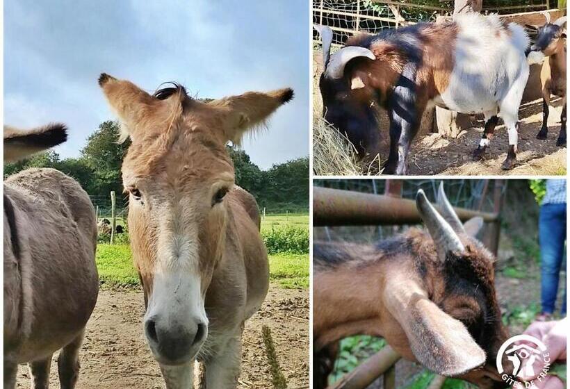 膳宿费 Cabane Perchée Avec Terrasses, Salle De Bain, Kitchenette, Petit Déjeuner Inclus Et Accès Piscine