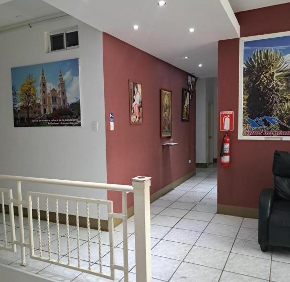 펜션 Hostal Vinos De Mérida