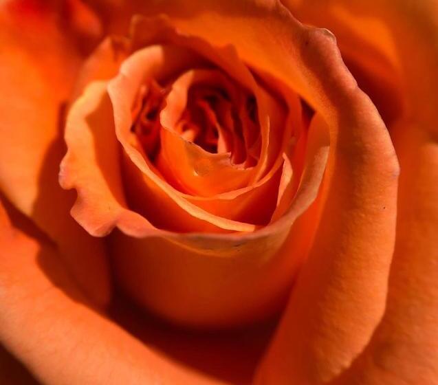 펜션 Il Rifugio Delle Rose
