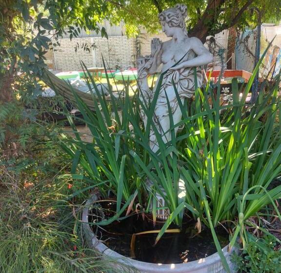 膳宿费 Los Cuatro Elementos