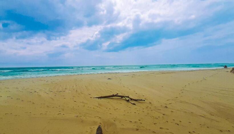 פנסיון Queen S Villa