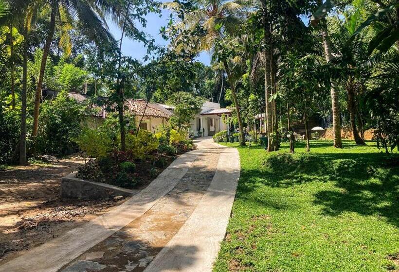 פנסיון Queen S Villa