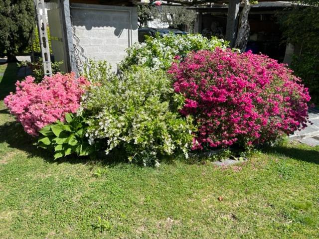 פנסיון Sansoucis