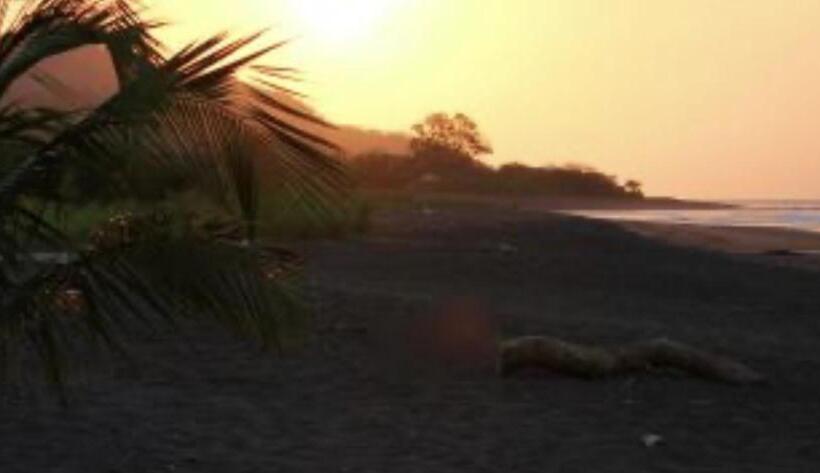 ペンション The Hide Away