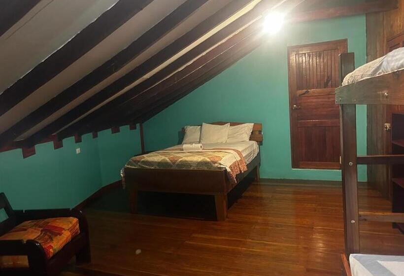 ペンション The Monkey Trail Hostel