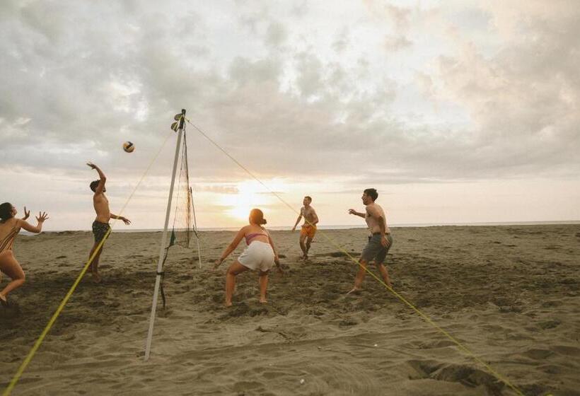 펜션 The Nordic House