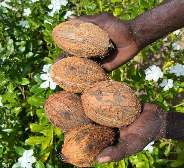 استراحتگاه Dilightful Place