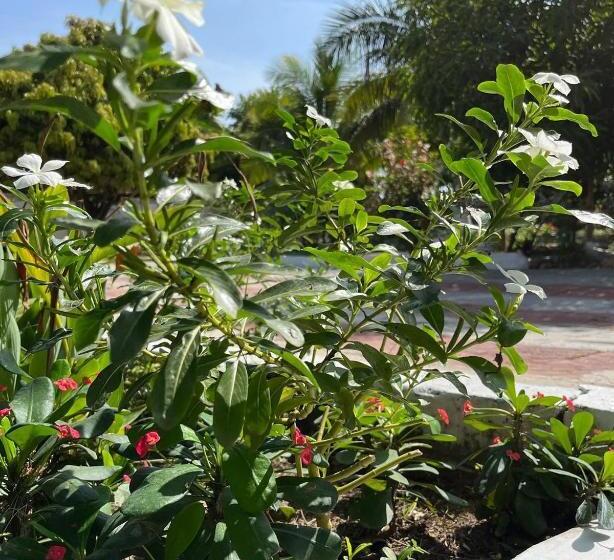 استراحتگاه Dilightful Place