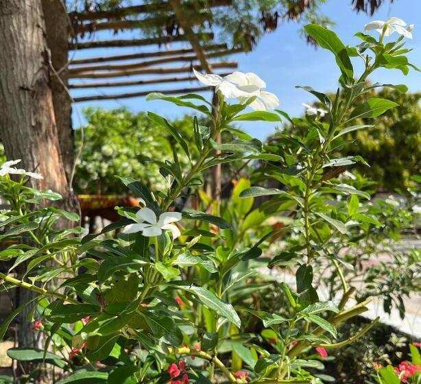 استراحتگاه Dilightful Place