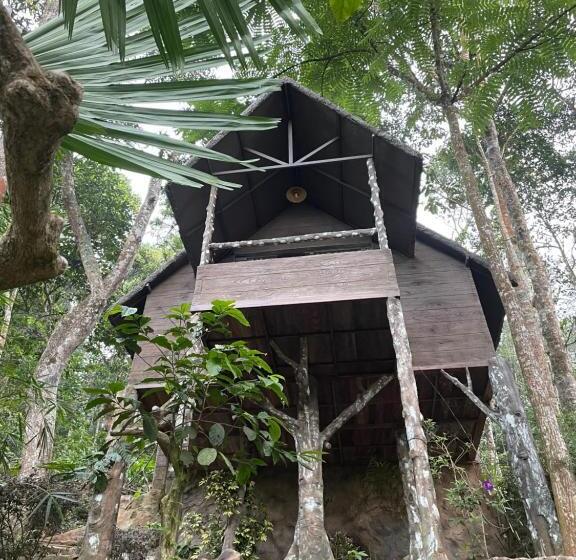 Курорт Panchavadi Farm Stay