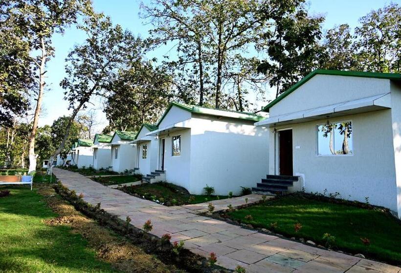 The Golden Woods Resort