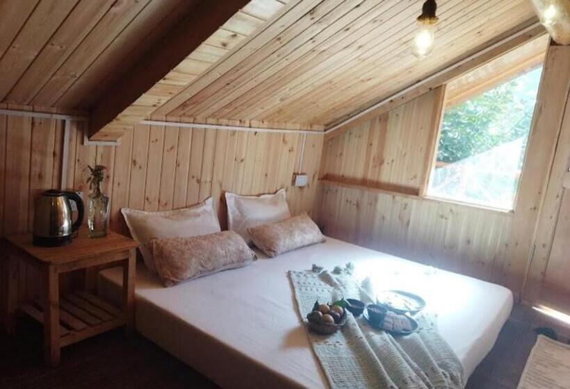 민박 Forget Me Not