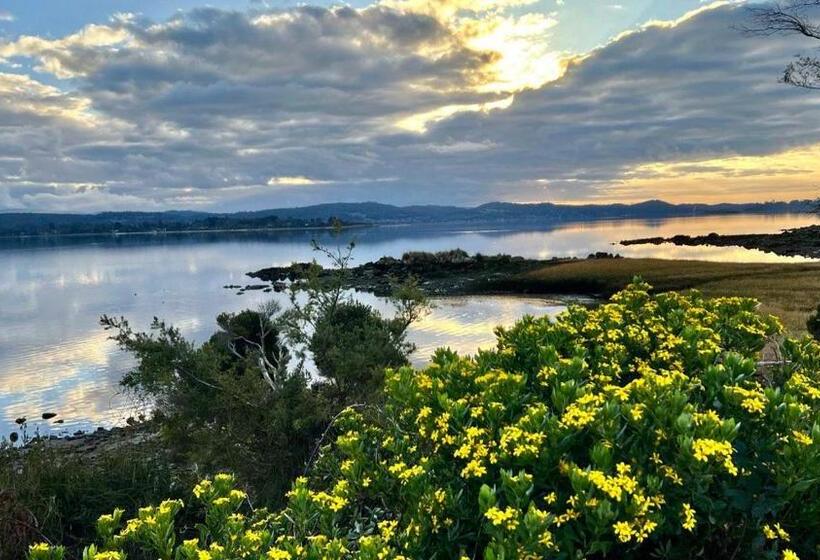 مبيت وإفطار Hillwood Havana