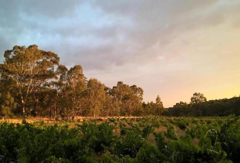 צימר It S Bonza! At Mill About Vineyard