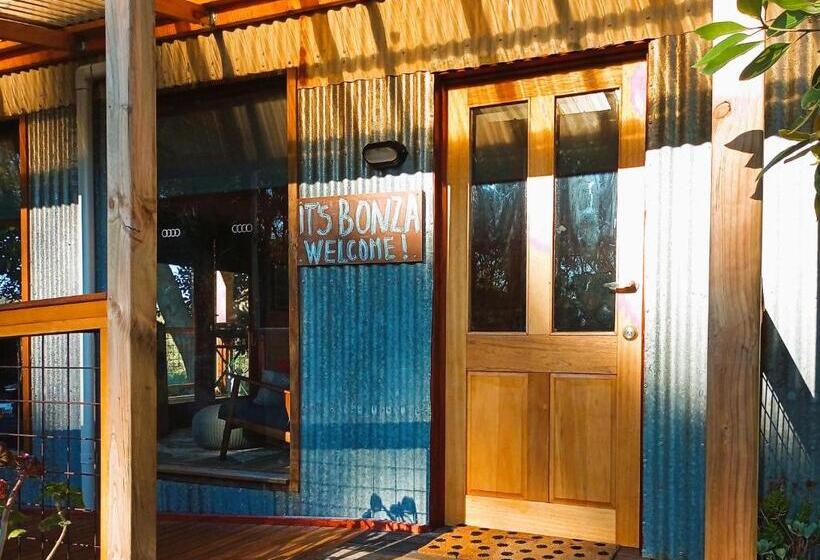 住宿加早餐  It S Bonza! At Mill About Vineyard