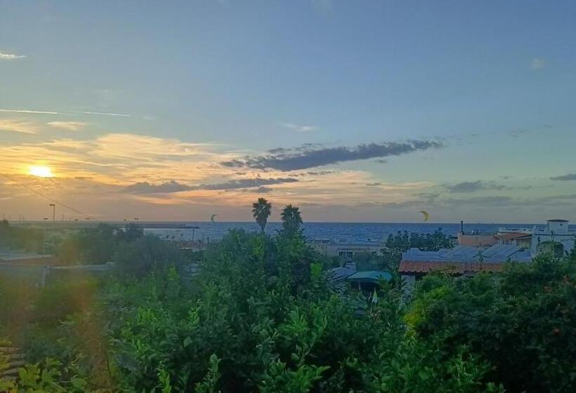 住宿加早餐 Suite Giulia