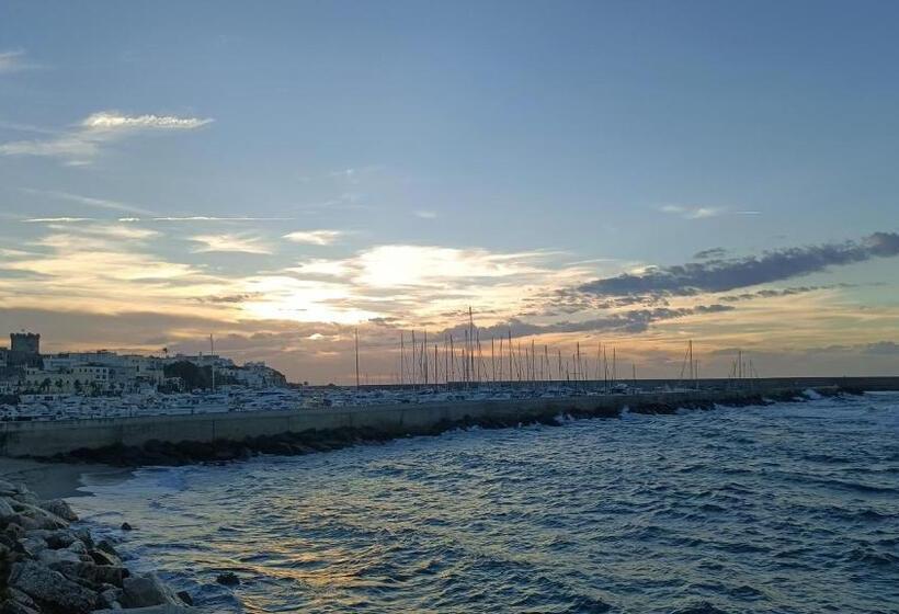 住宿加早餐 Suite Giulia