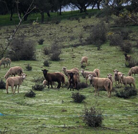 تختخواب و صبحانه The Red Door