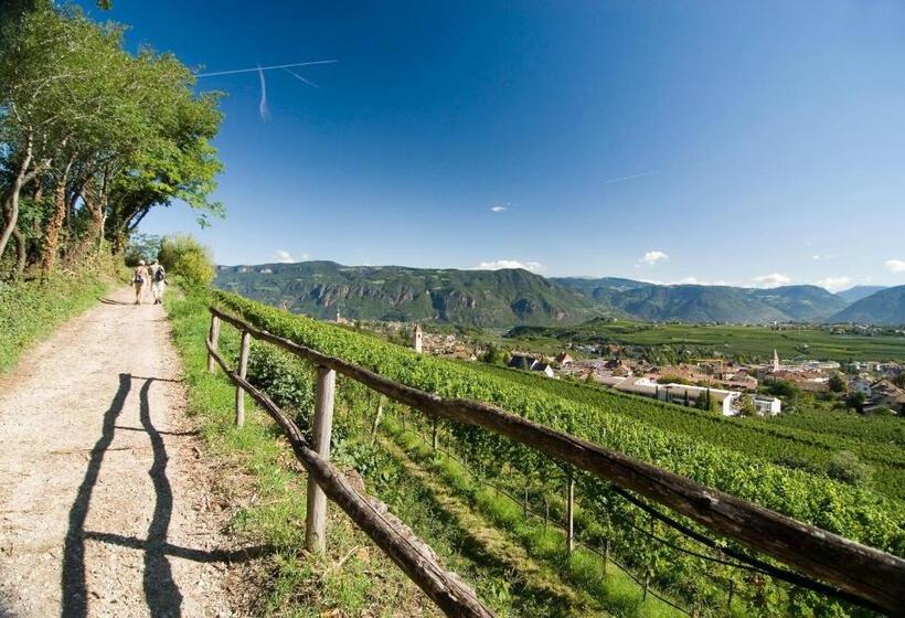 Belia Lofts   Adults Only   Apartments