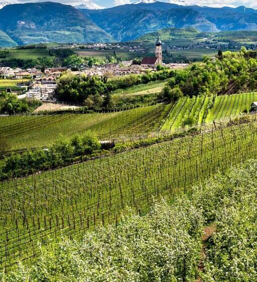 Belia Lofts   Adults Only   Apartments