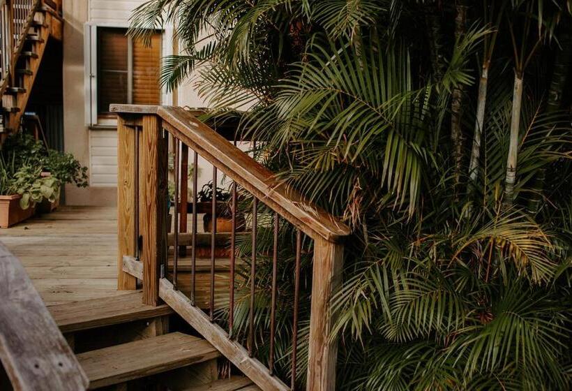 Cruz Bay Tropical Condo