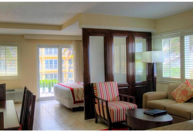 Discover The Charm And The Sea Gardens, An Exceptional Gold Coast Studio Condo Retreat Special Off