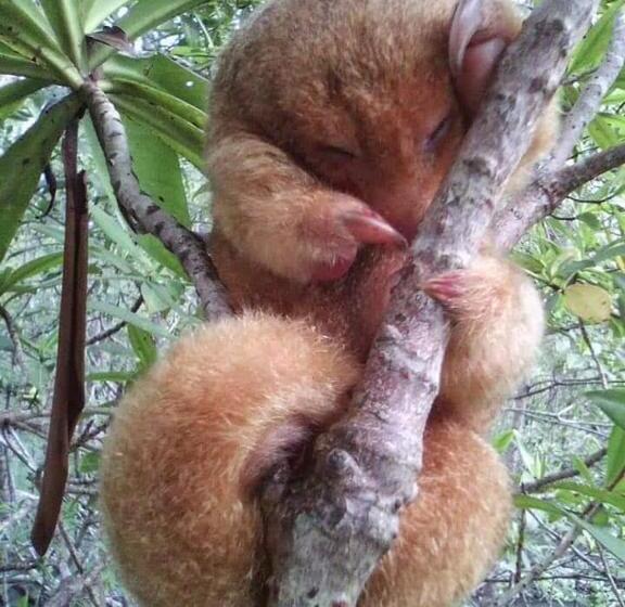 酒店 Adventurelalotour