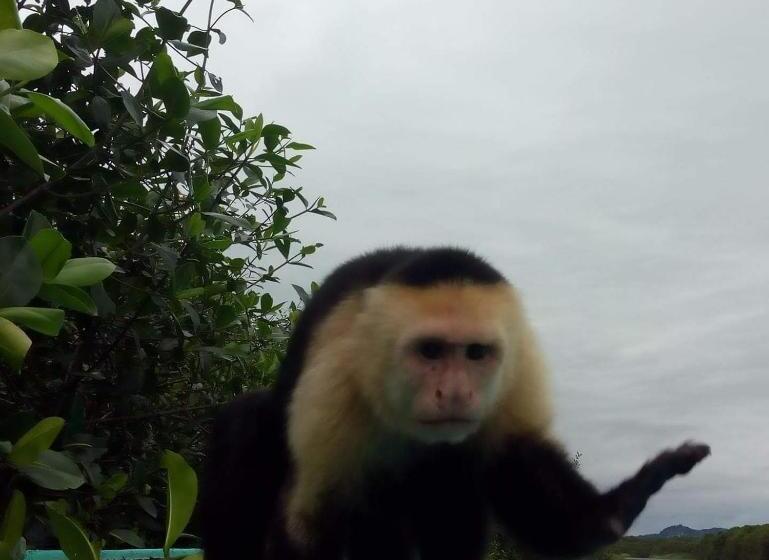 酒店 Adventurelalotour