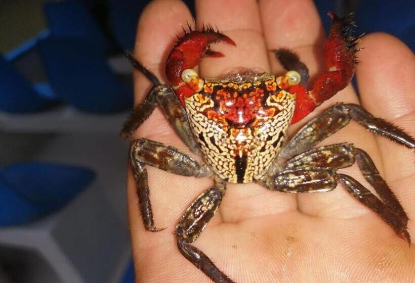 酒店 Adventurelalotour