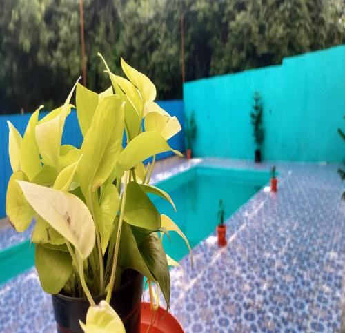 酒店 Auro Galaxy Pondy With Swimming Pool