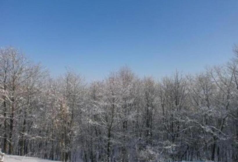 בית מלון כפרי Axia Inn Kushiro   Vacation Stay 67230v