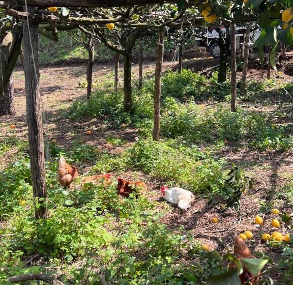 호텔 Azienda Agricola Zootecnica Soriente Di Guglielmo Areh Soriente & C.s.a.s