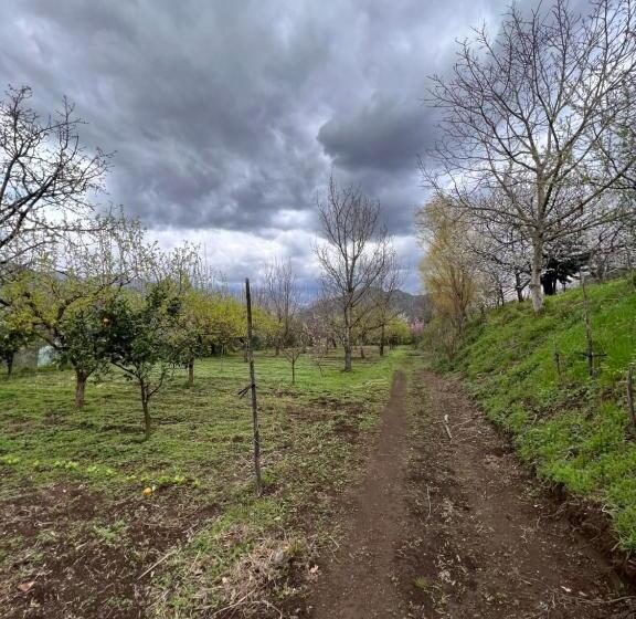 호텔 Azienda Agricola Zootecnica Soriente Di Guglielmo Areh Soriente & C.s.a.s