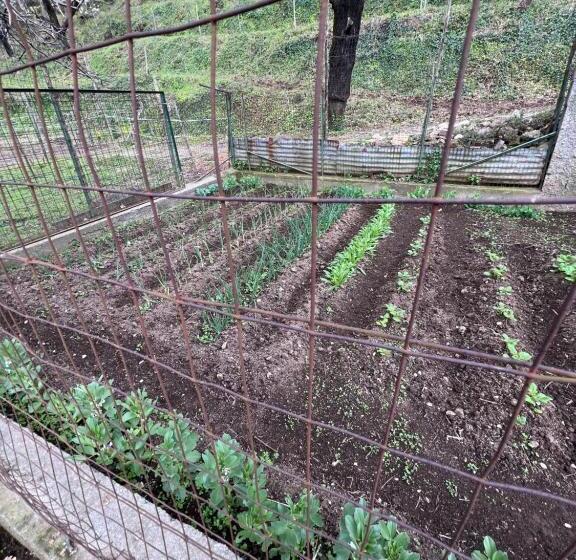 ホテル Azienda Agricola Zootecnica Soriente Di Guglielmo Areh Soriente & C.s.a.s