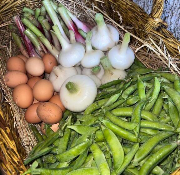 호텔 Azienda Agricola Zootecnica Soriente Di Guglielmo Areh Soriente & C.s.a.s