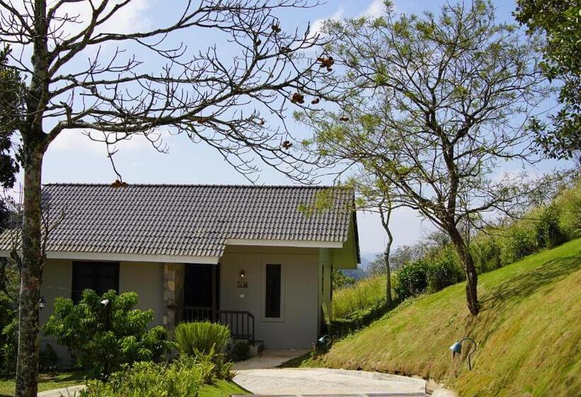 호텔 Blanket Days Resort And Spa