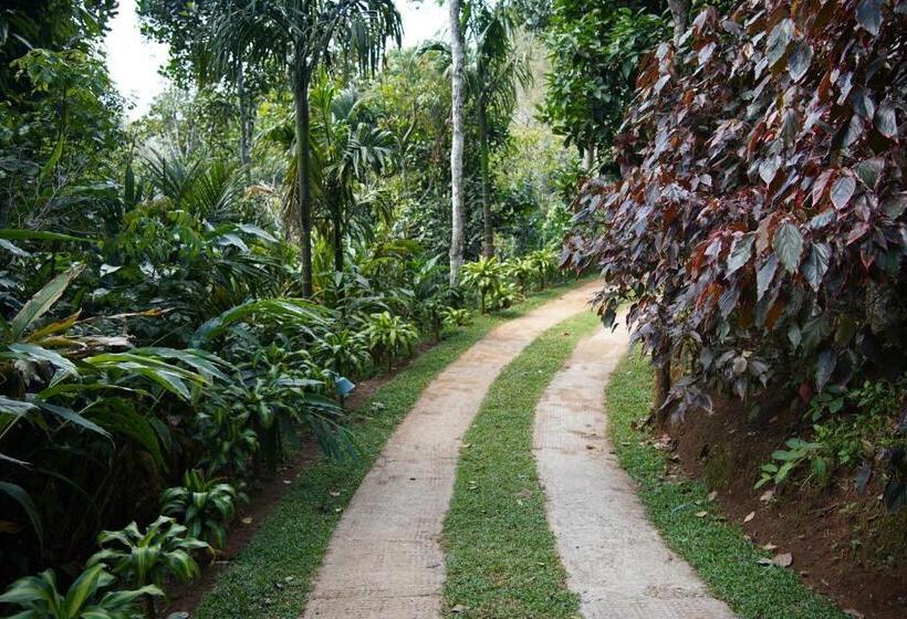 호텔 Blanket Days Resort And Spa