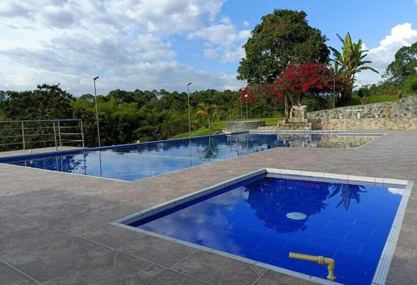 Отель Campestre Los Mangos