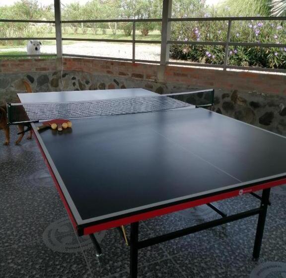 Отель Campestre Los Mangos