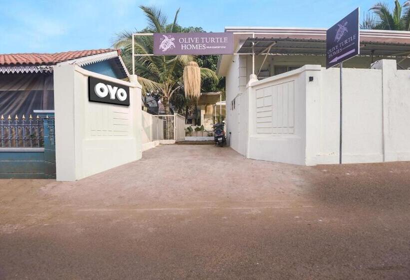 فندق Collection O Olive Turtle