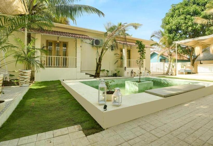 فندق Collection O Olive Turtle